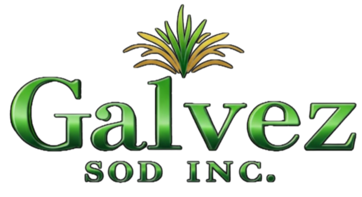 Galvez Sod Inc