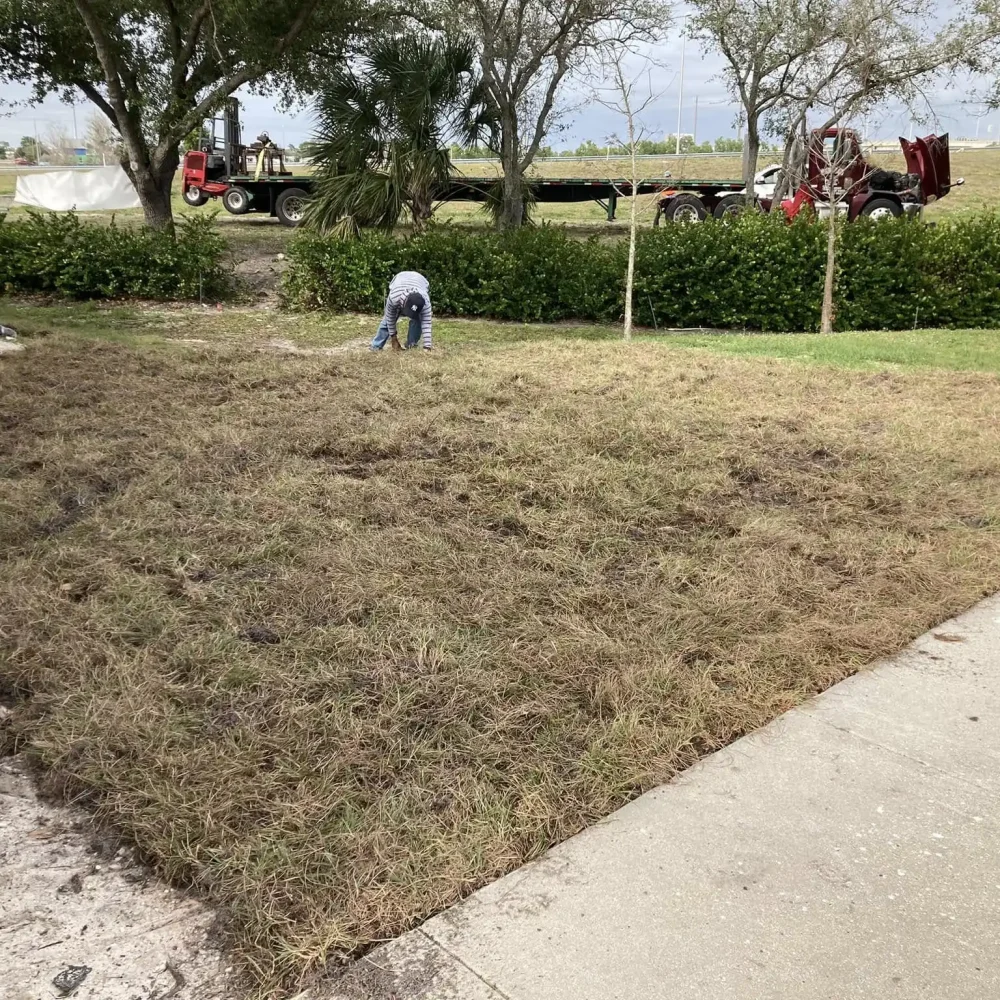 Galvez Sod Inc (4)